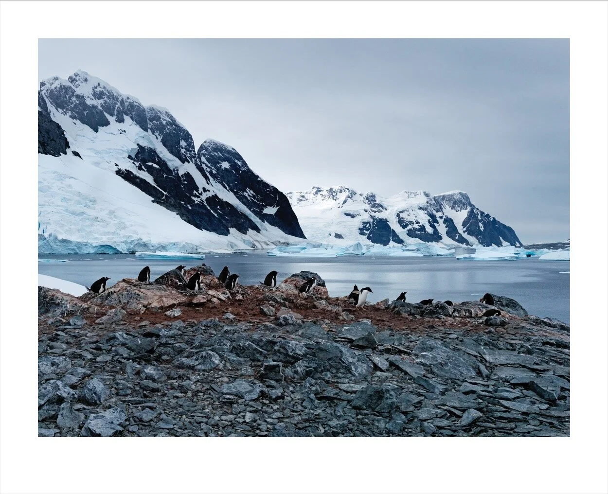 Antarctica 1-13_0432.jpg