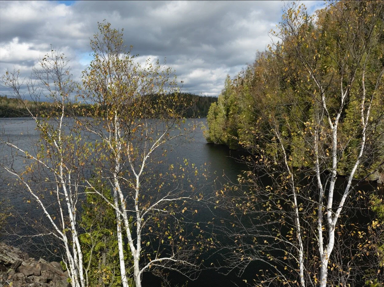 WAWA_0494.jpg