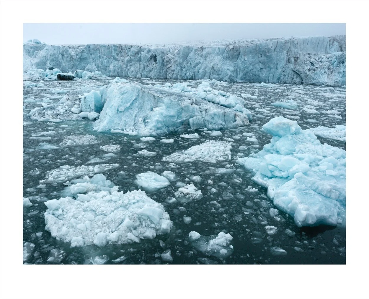 Svalbard (june-July 2013)_2493.jpg