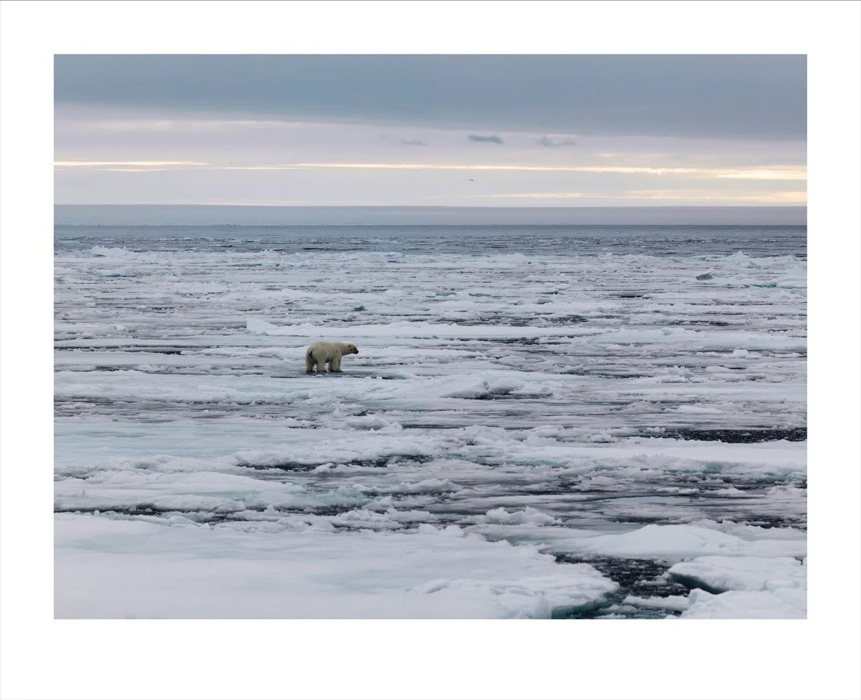 Svalbard (june-July 2013)_1669.jpg