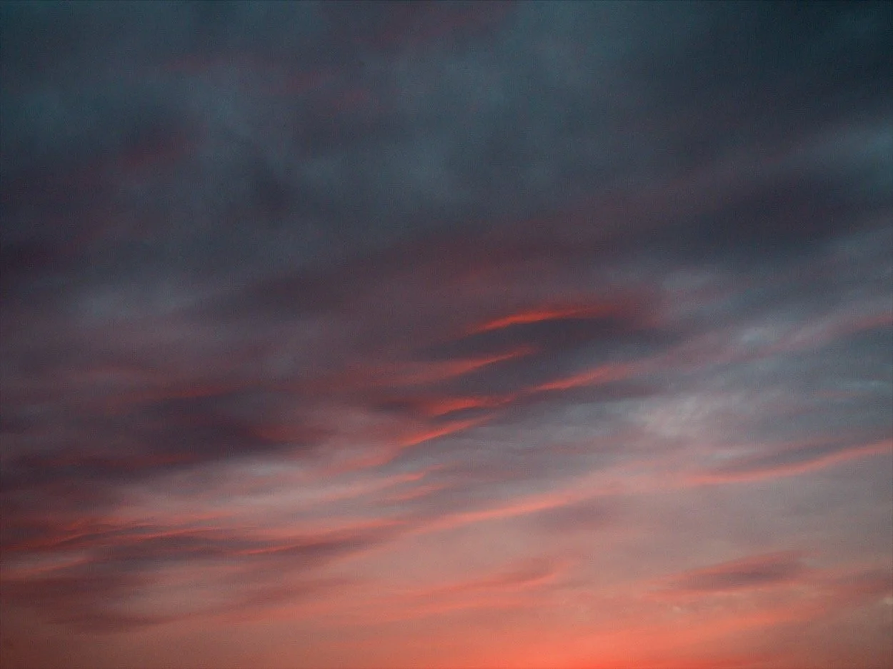 TERRACE_0039.jpg