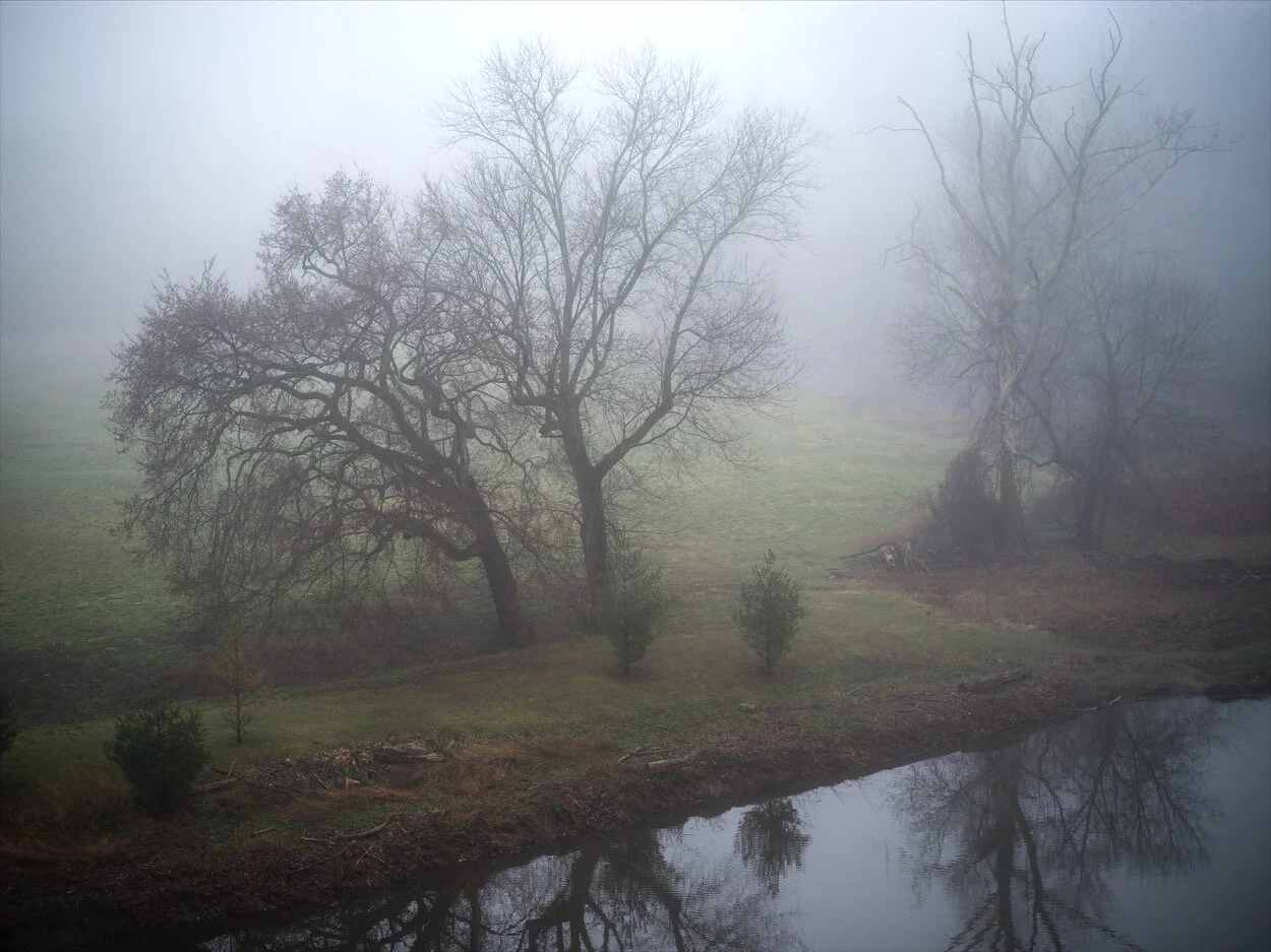 Terrace 4_4_18 0001.jpg