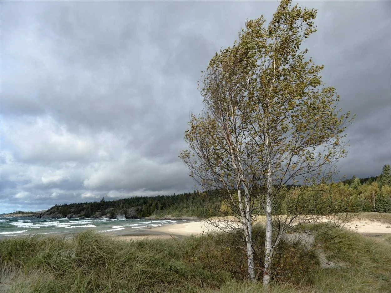 KILARNEY_0494.jpg