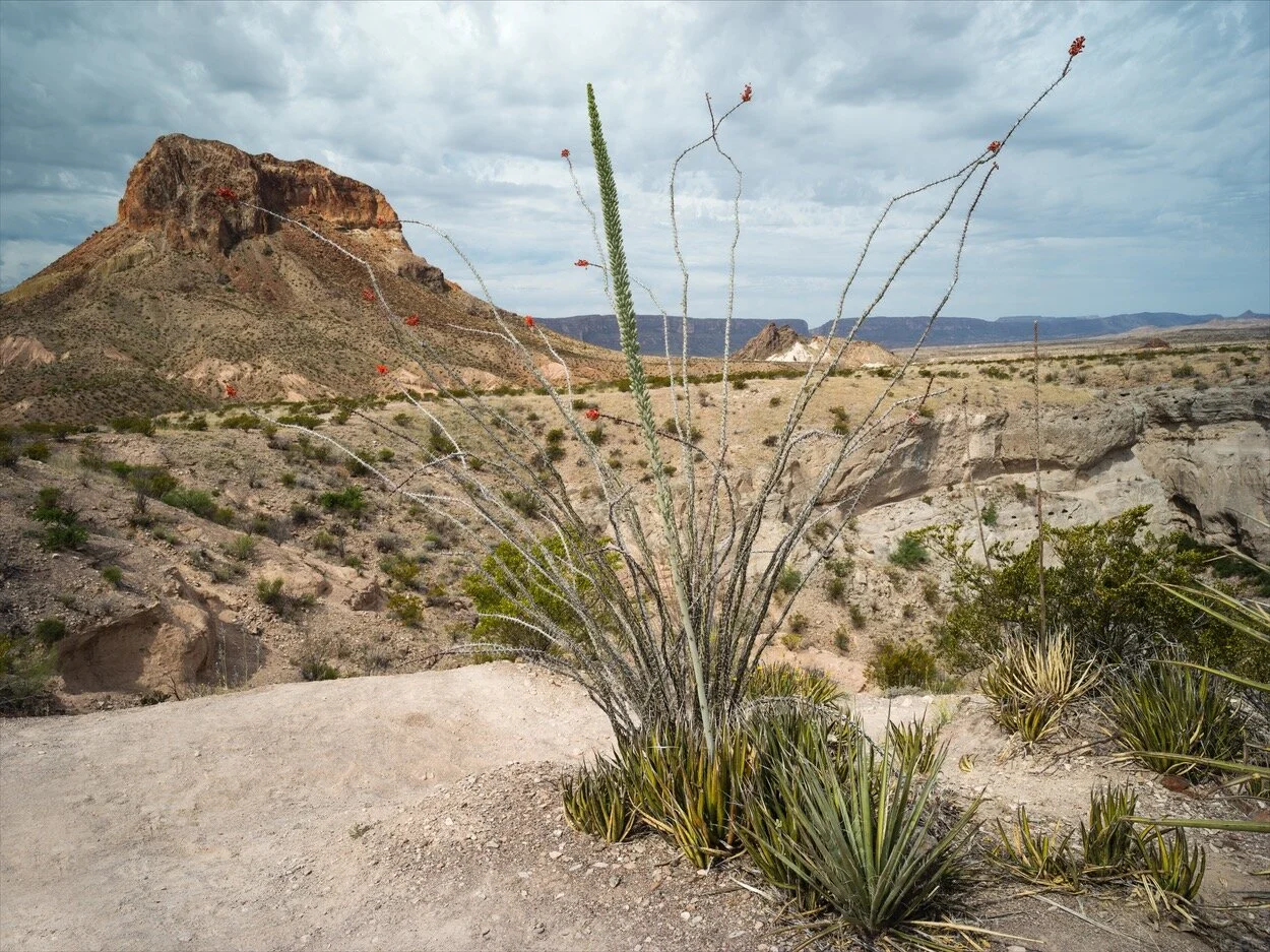 Big Bend_0007.jpg