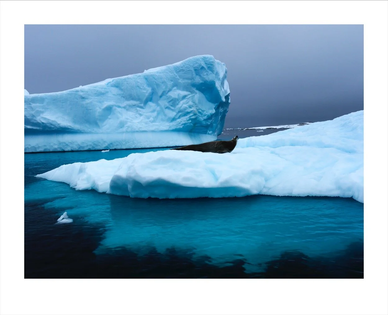 Antarctica 1-13_0630.jpg