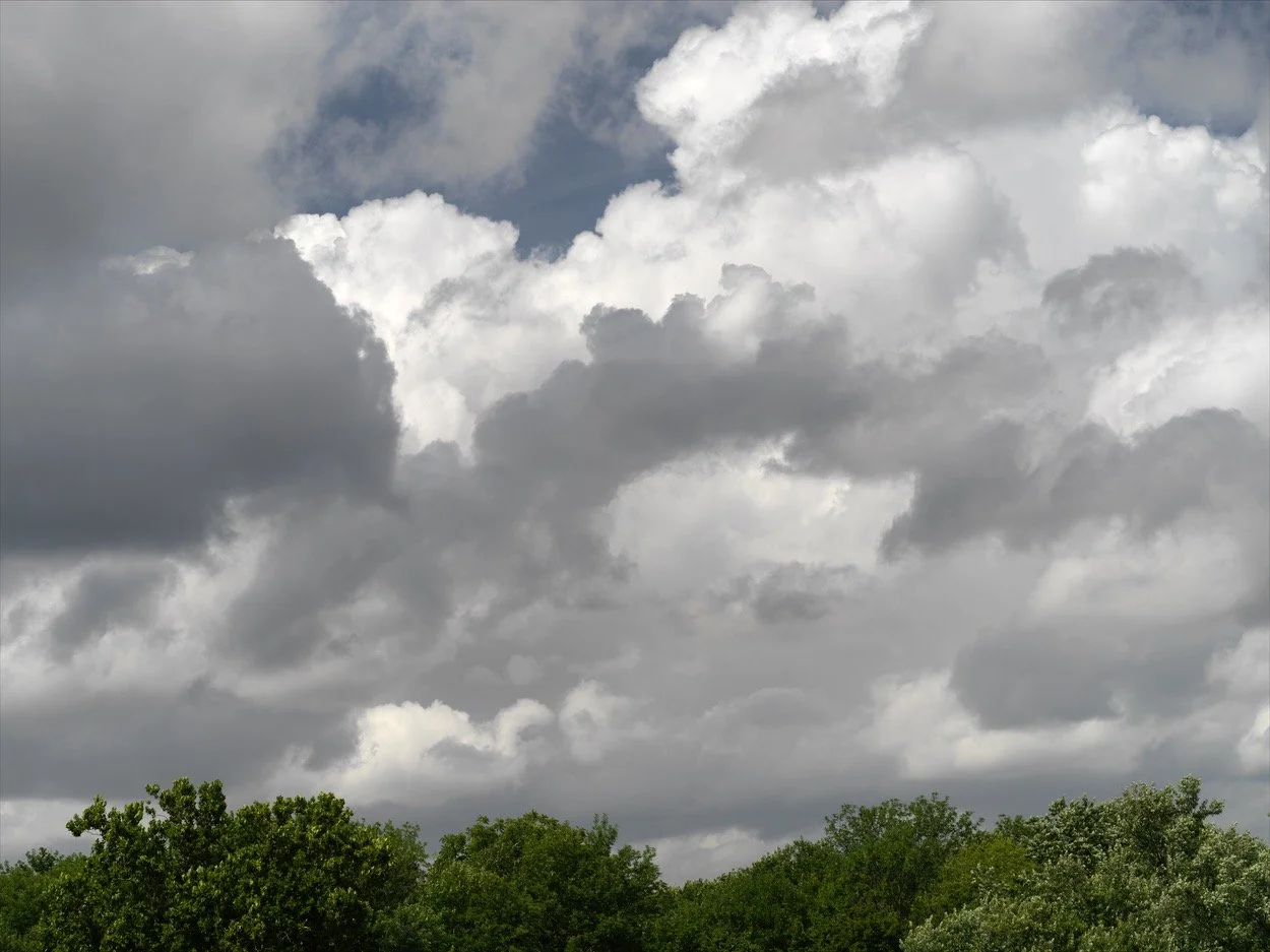 Terrace_0171.jpg