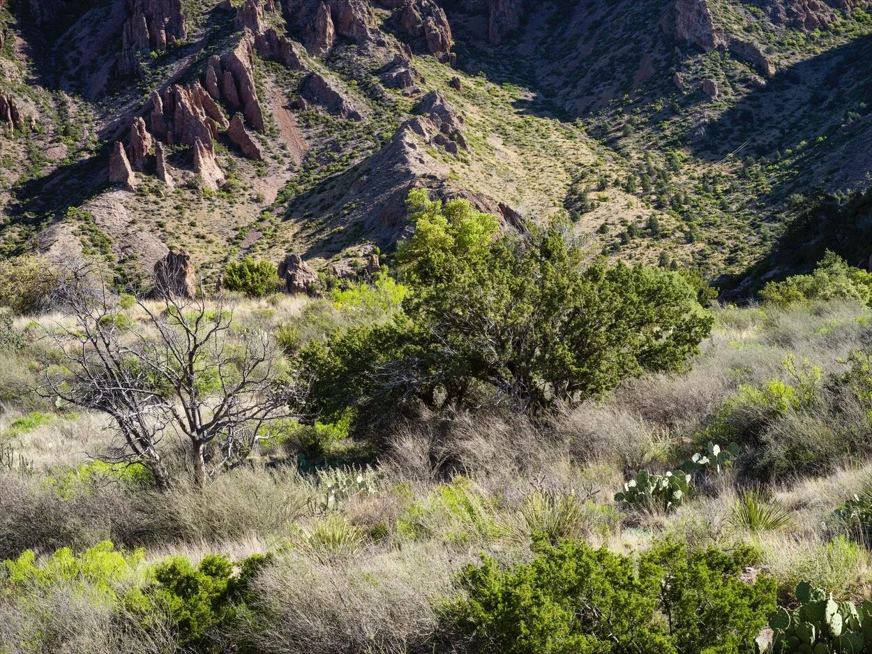 Big Bend_0232.jpg
