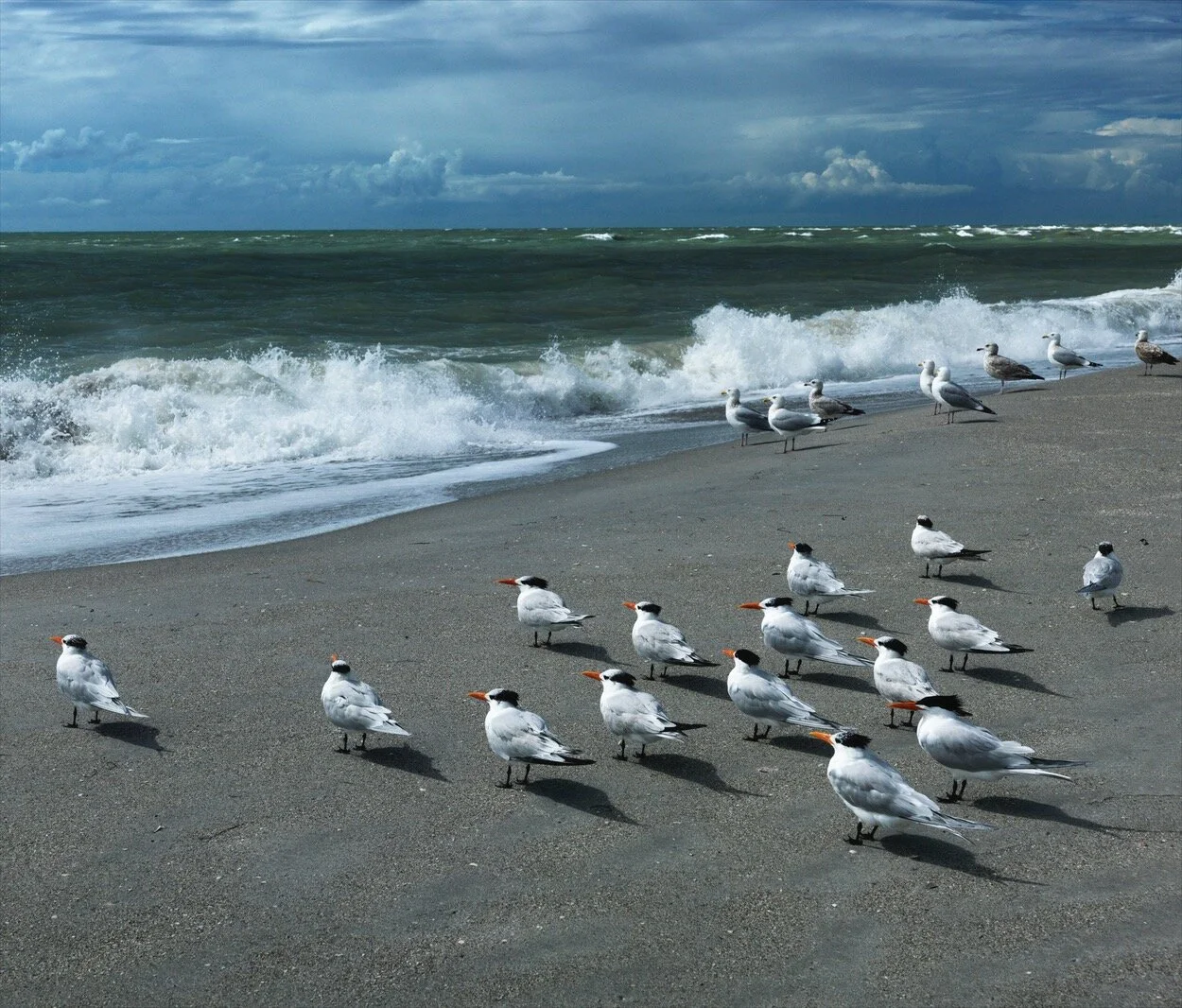 CAPTIVA, FLA_0070.jpg