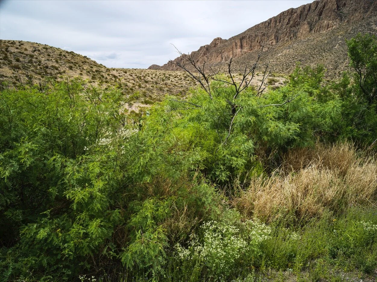 Big Bend_0164.jpg