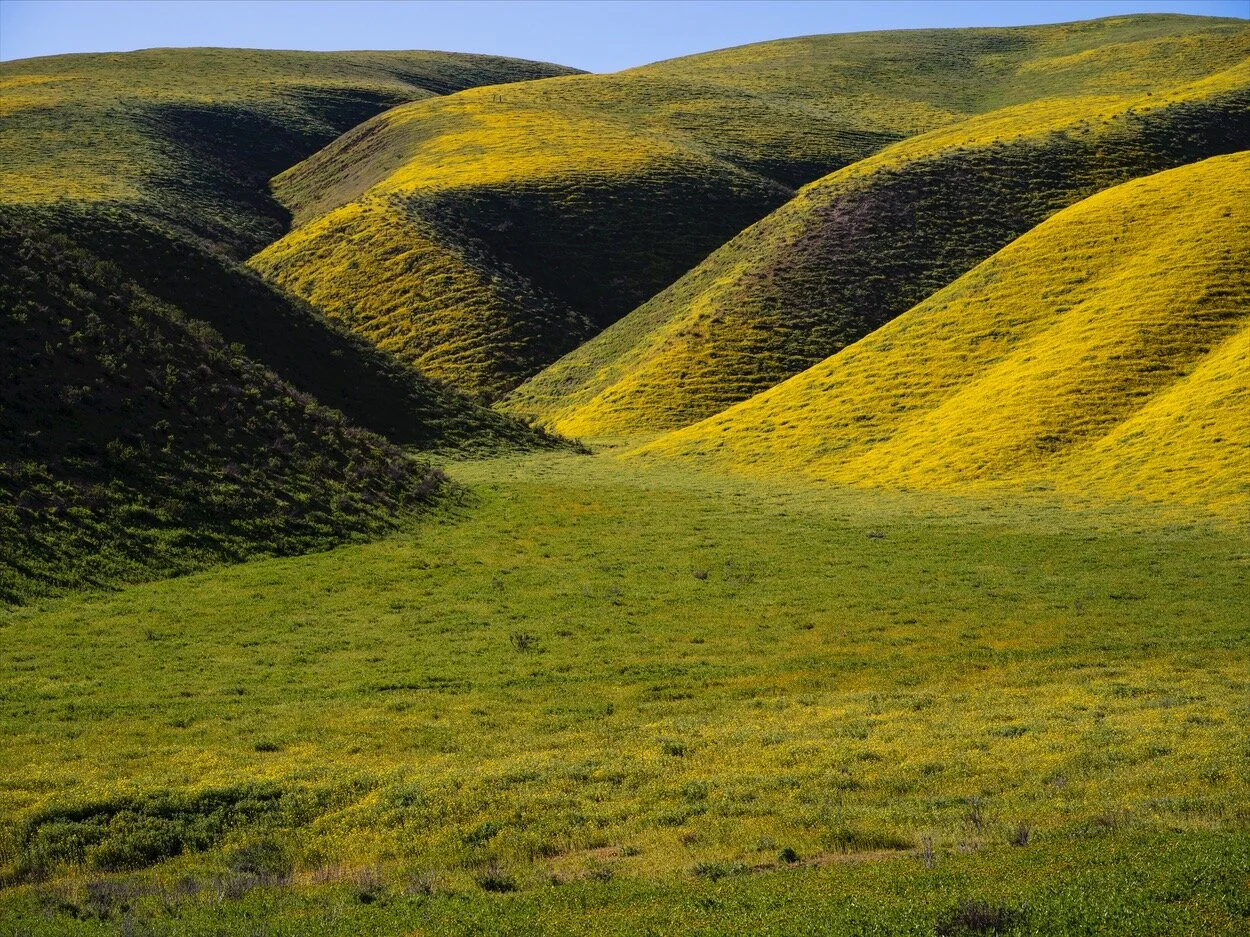 California_0458.jpg