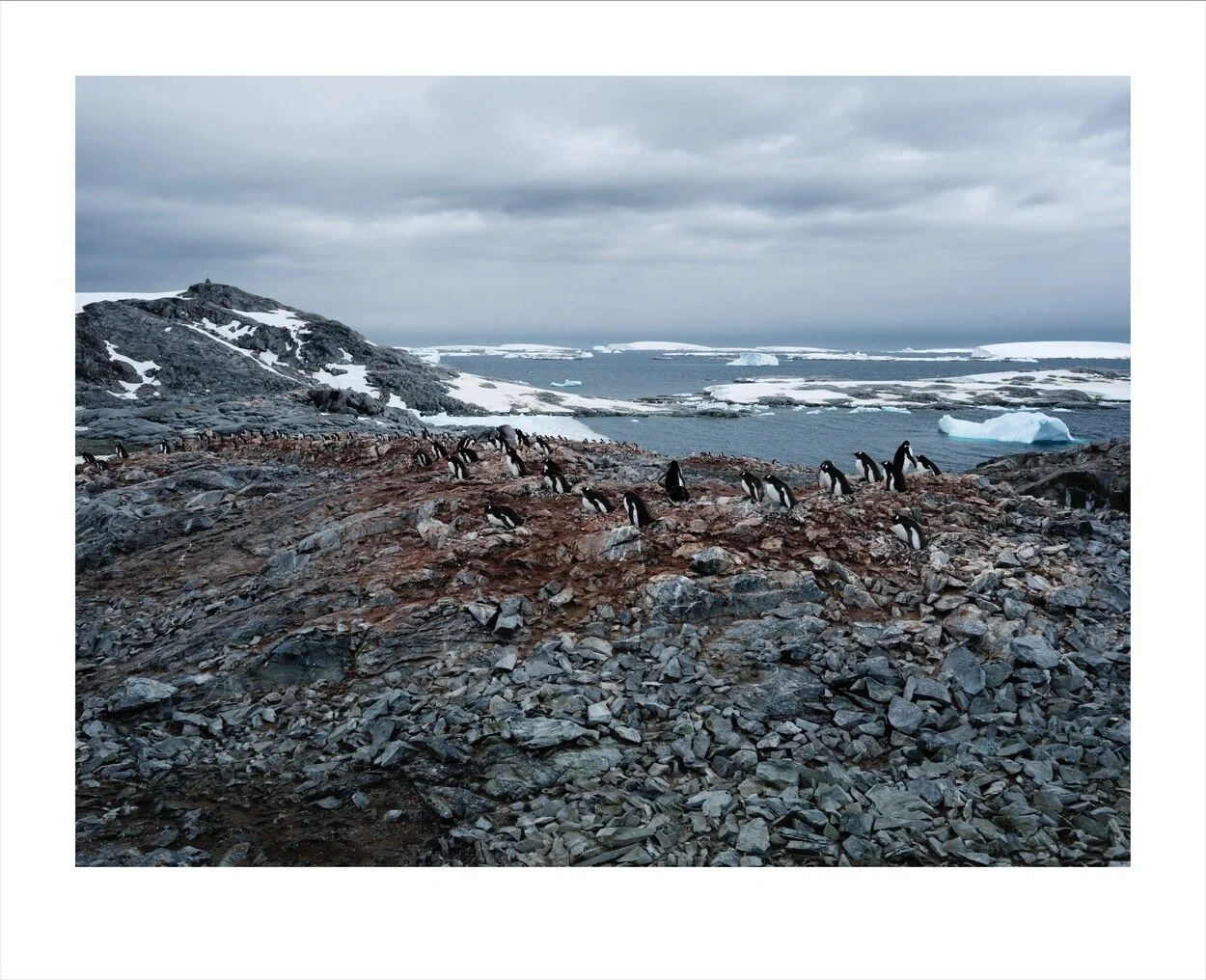 Antarctica 1-13_0449.jpg