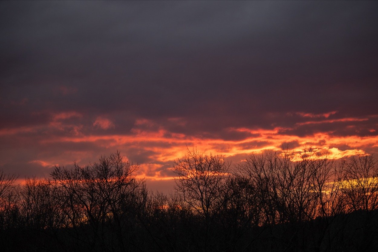 terrace 857A0110.jpg