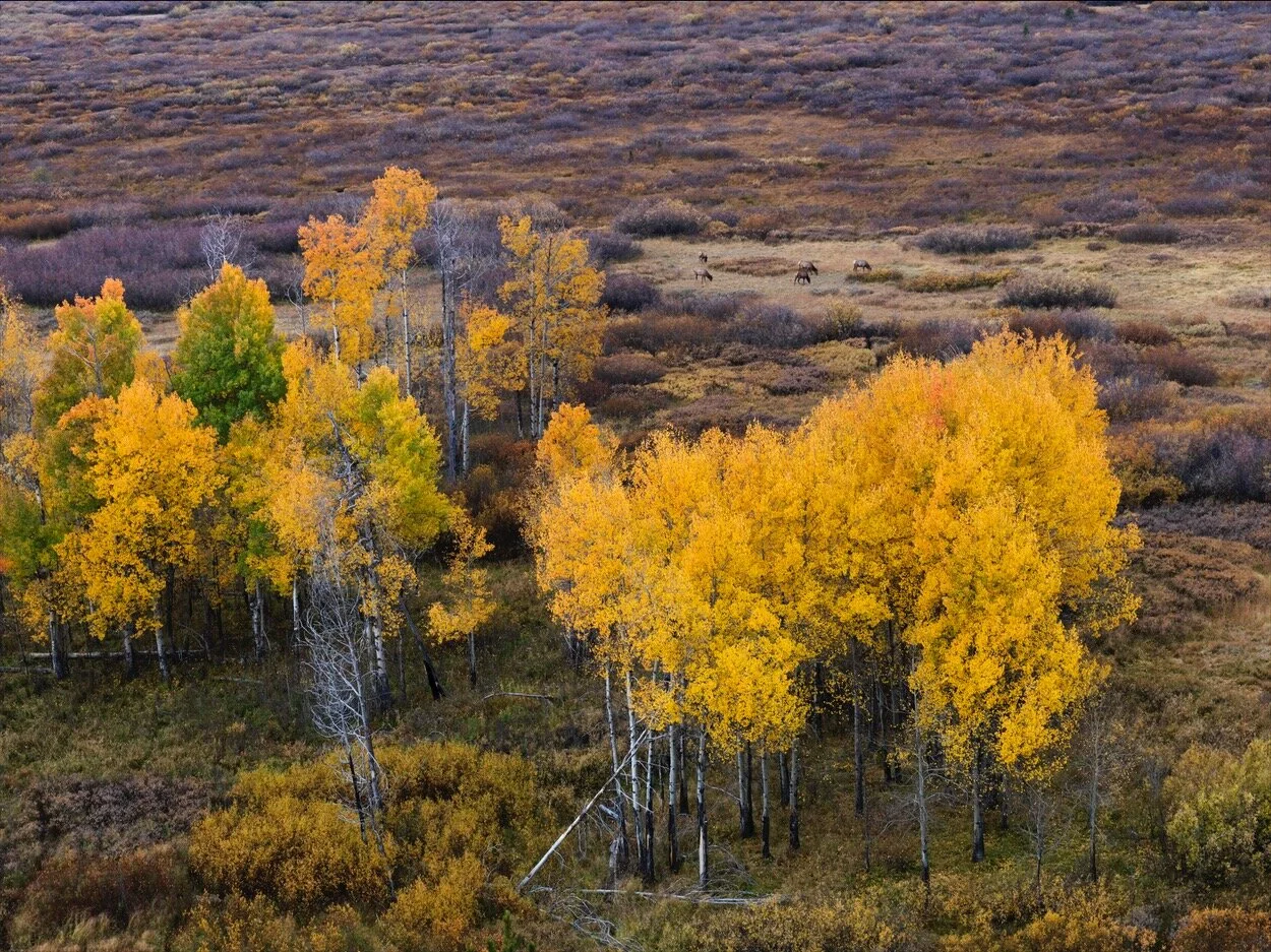 Wyoming_0018.jpg