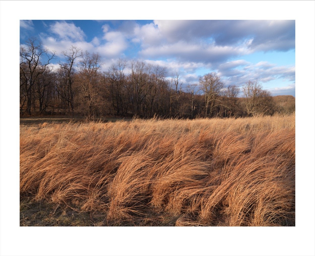 Pennypack_2721.jpg