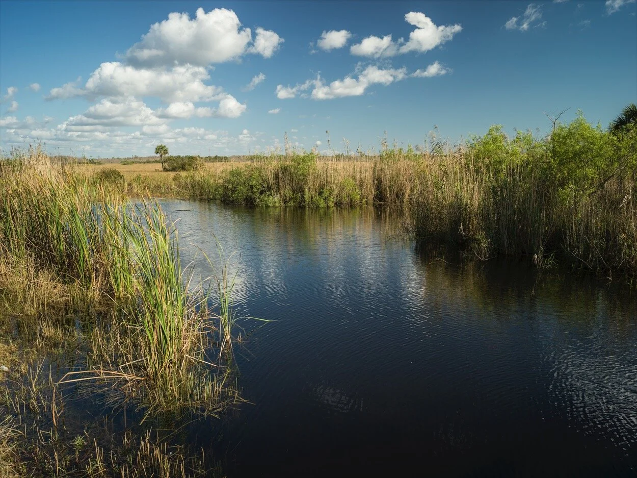 Florida_0071.jpg