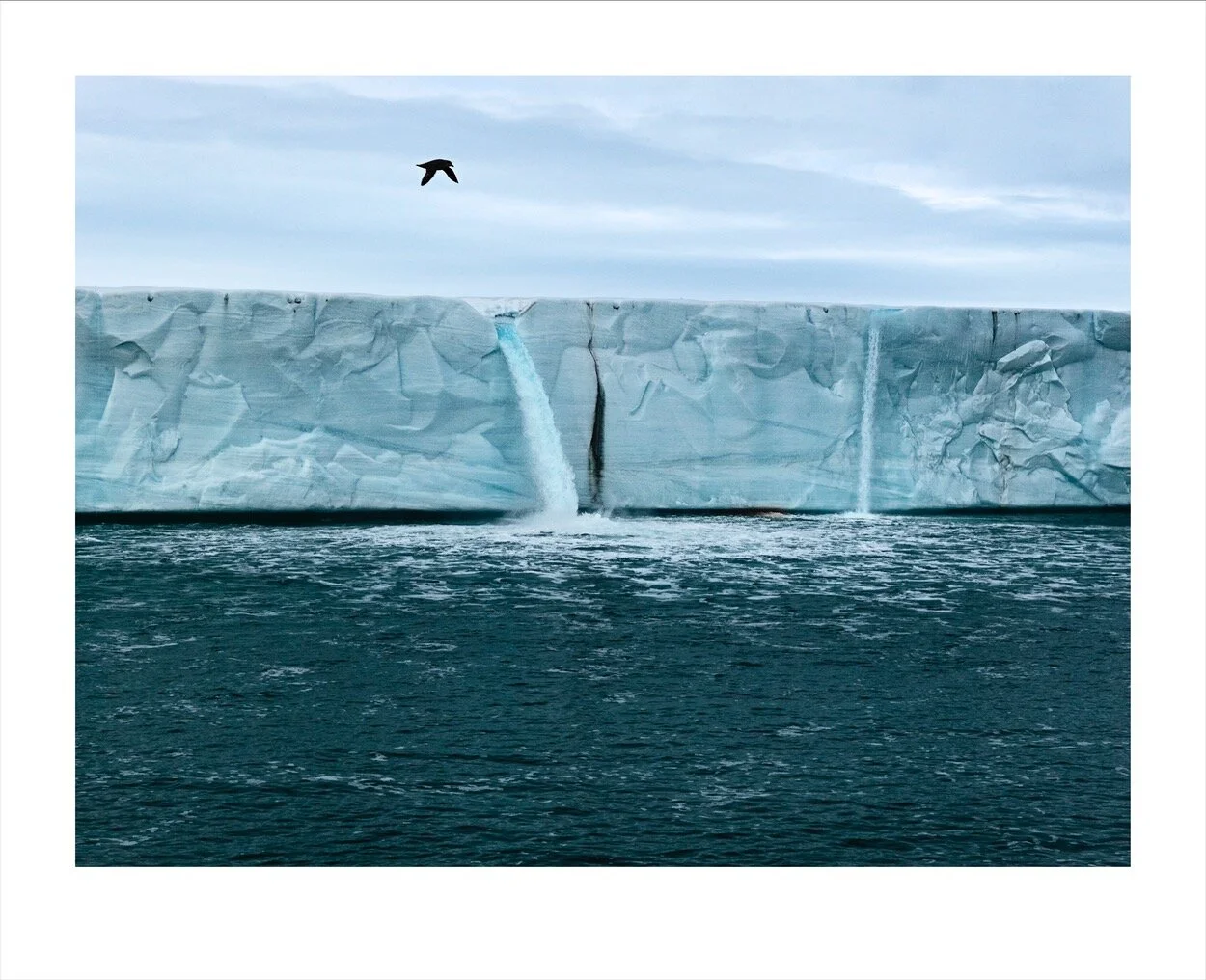 Svalbard (june-July 2013)_2233.jpg