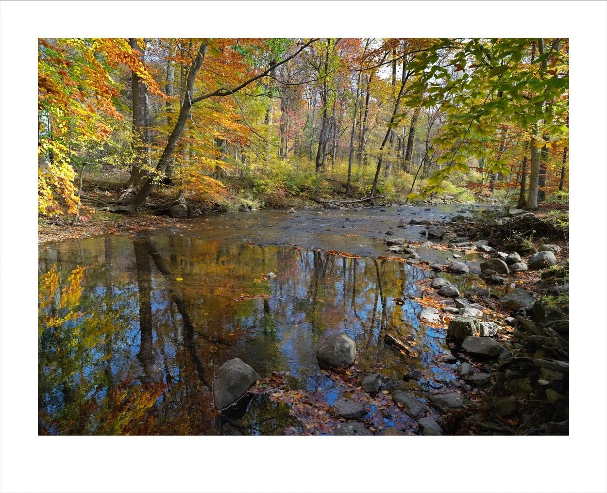pennypack_1150a.jpg