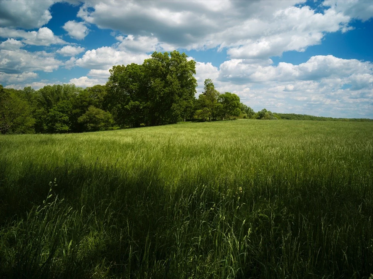 PENNYPACK_0762.jpg