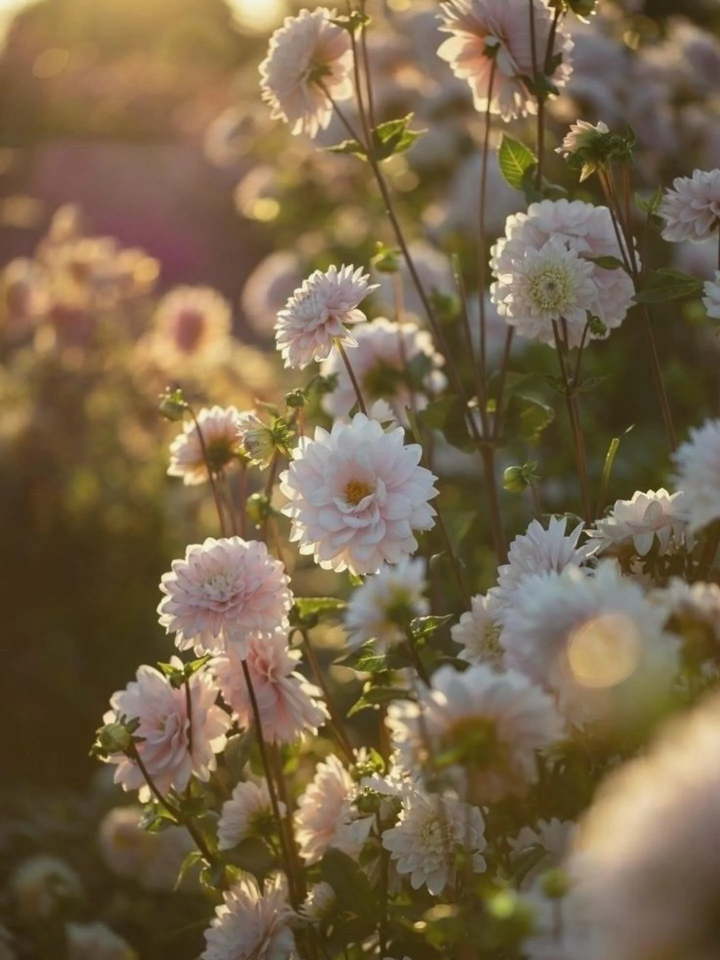 What is the purpose of therapy? 

It&rsquo;s about returning someone to themselves. To the wholeness that&rsquo;s been buried under years of survival. To the parts of them that were never welcomed, now being named with compassion.

And it&rsquo;s abo
