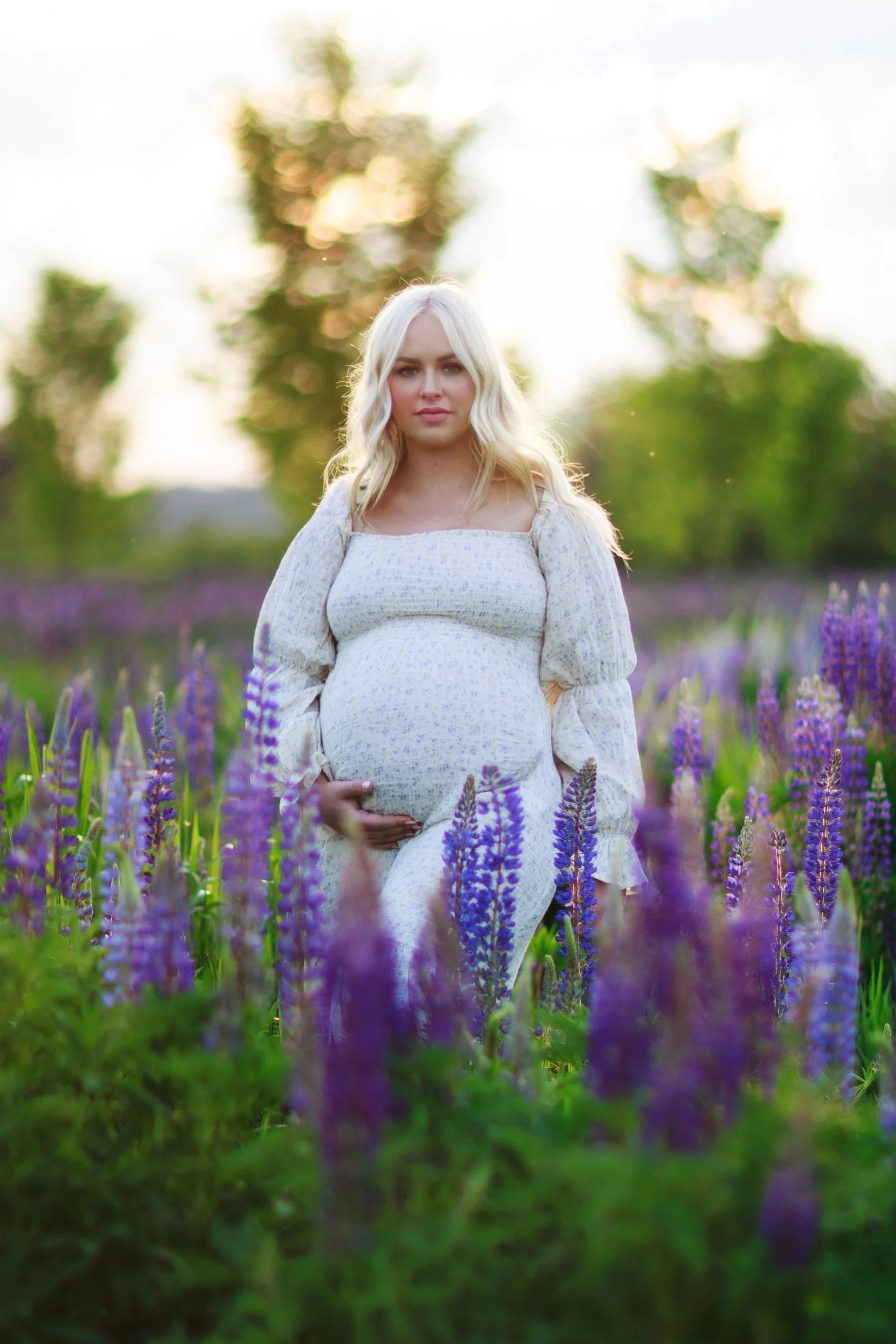 Lupine Fields