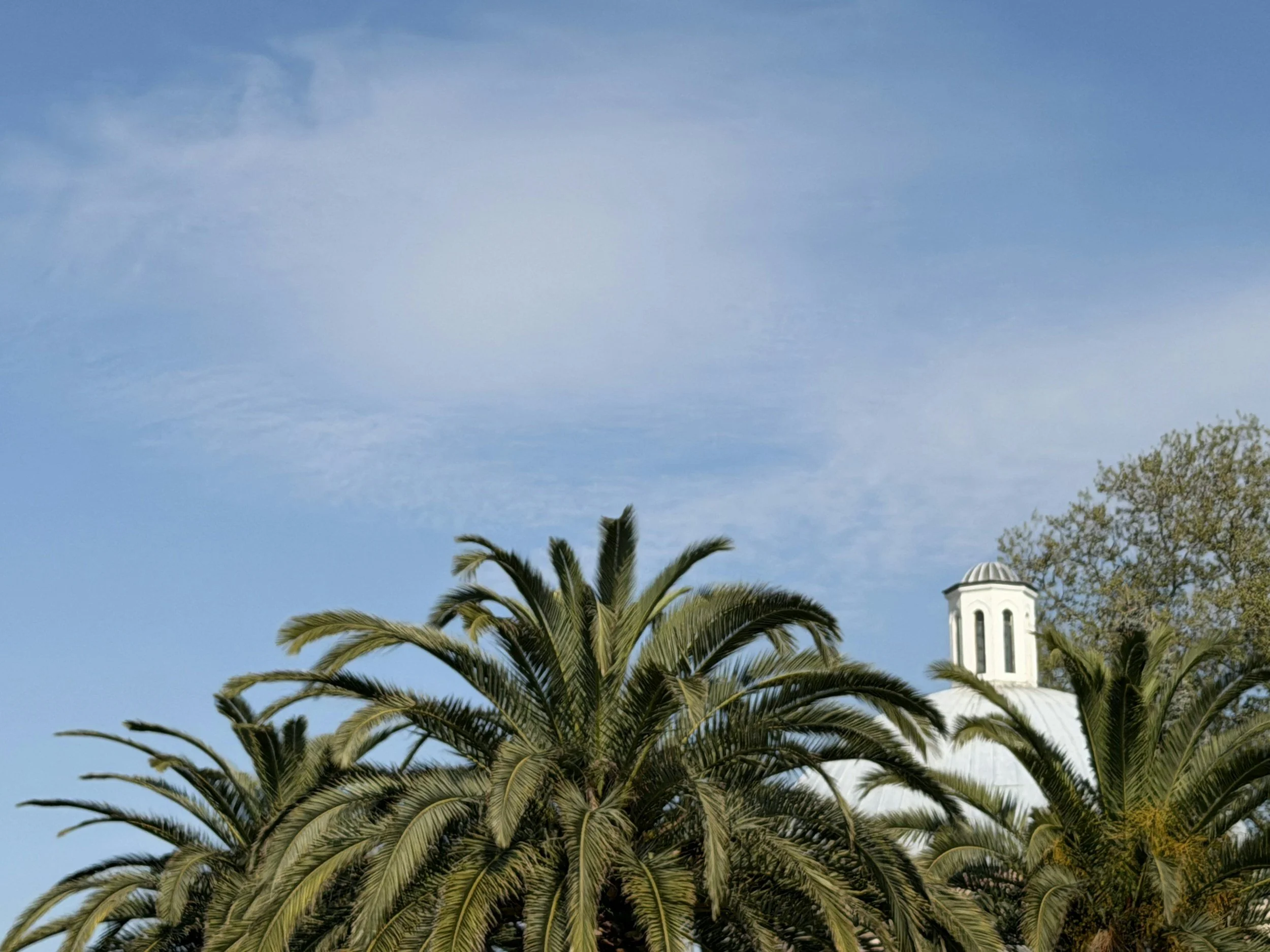 Top 5 Funeral Homes in Beverly Hills for Private, Premium Memorial Services