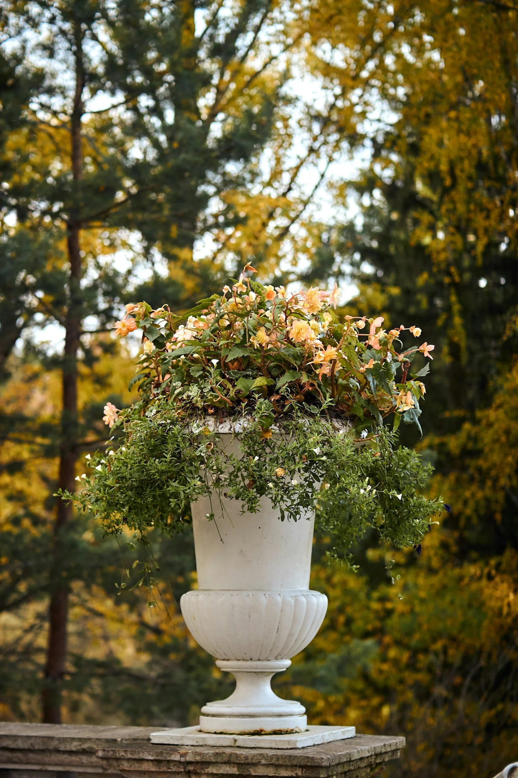 6 Best Cremation Services in Beverly Hills, Compared by Cost &amp; Care