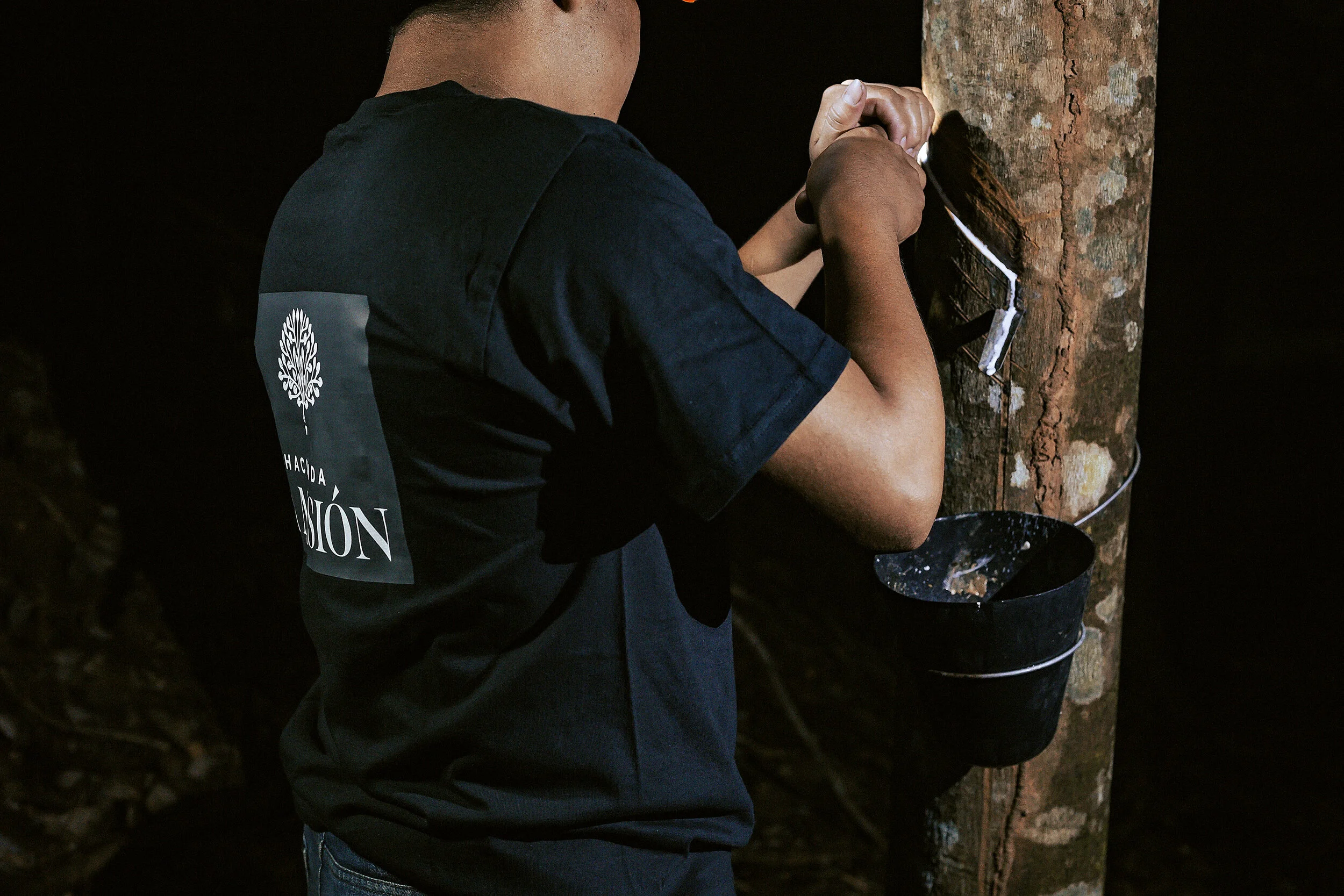 FINCA 11.jpg