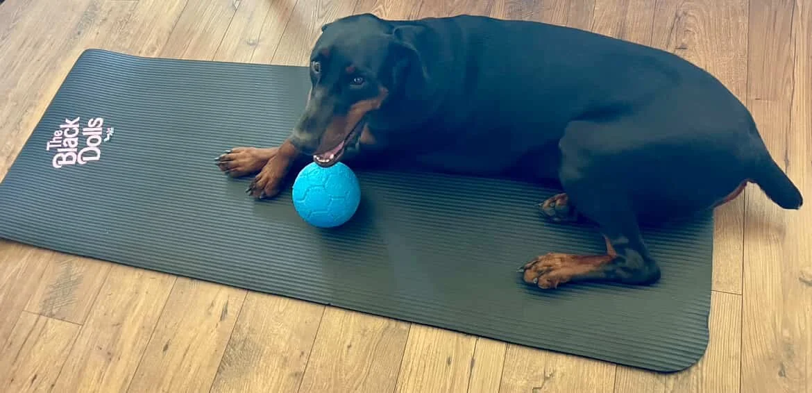 zeus yoga.jpg