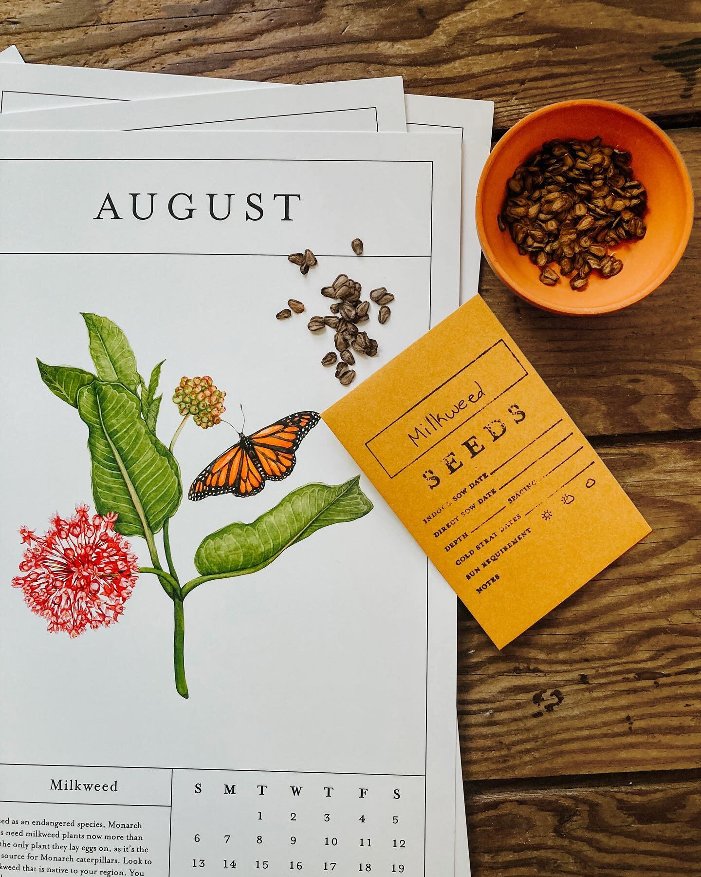 As a small (microscopic?) business owner, it&rsquo;s tough to offer big discounts. But, I can do something the big guys can&rsquo;t: offer a free pack of Milkweed seeds picked from my own garden. This #smallbusinesssaturday (and Sunday) if you purcha
