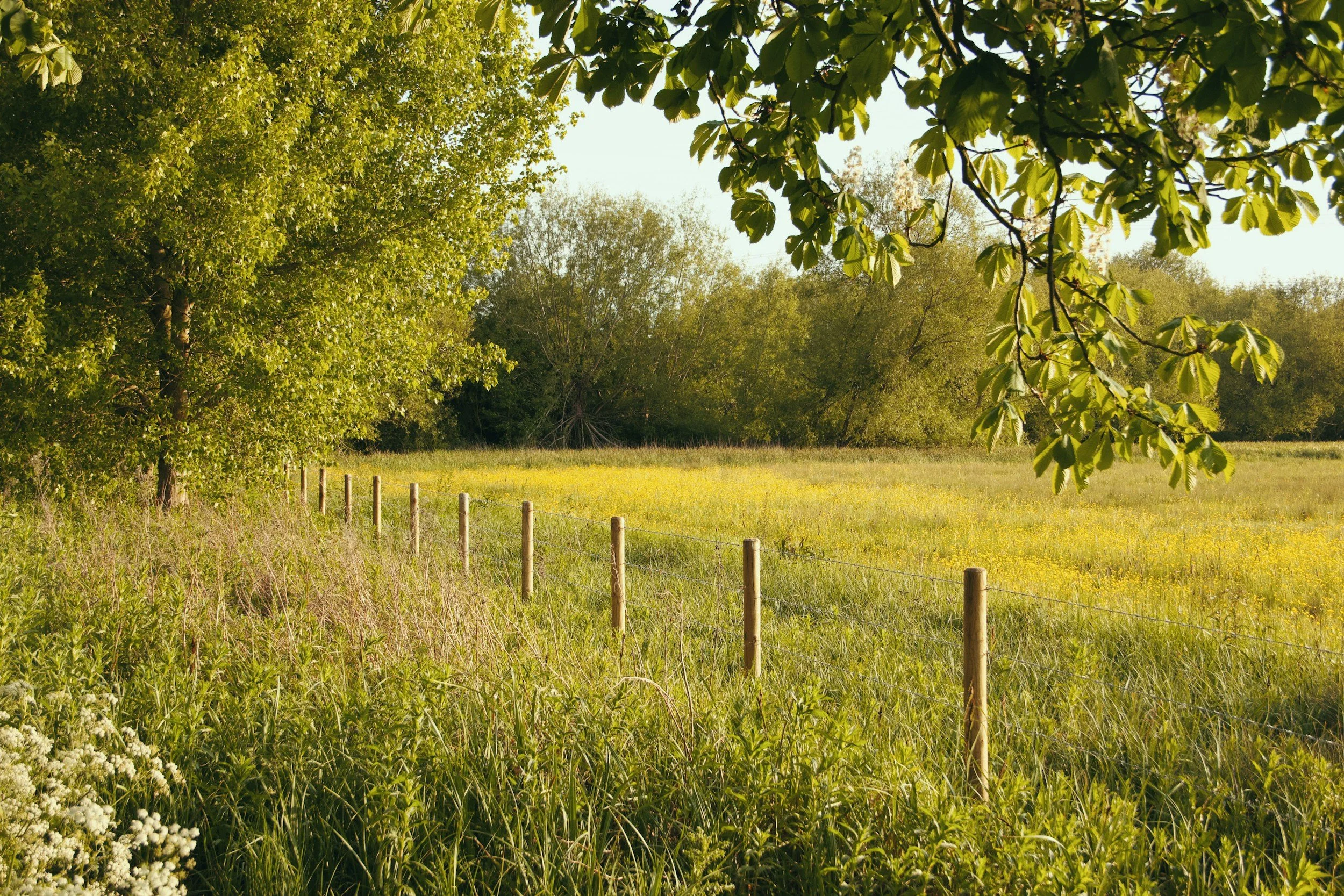 Handcrafted all natural products for farm to skin care by Meadowlark Made