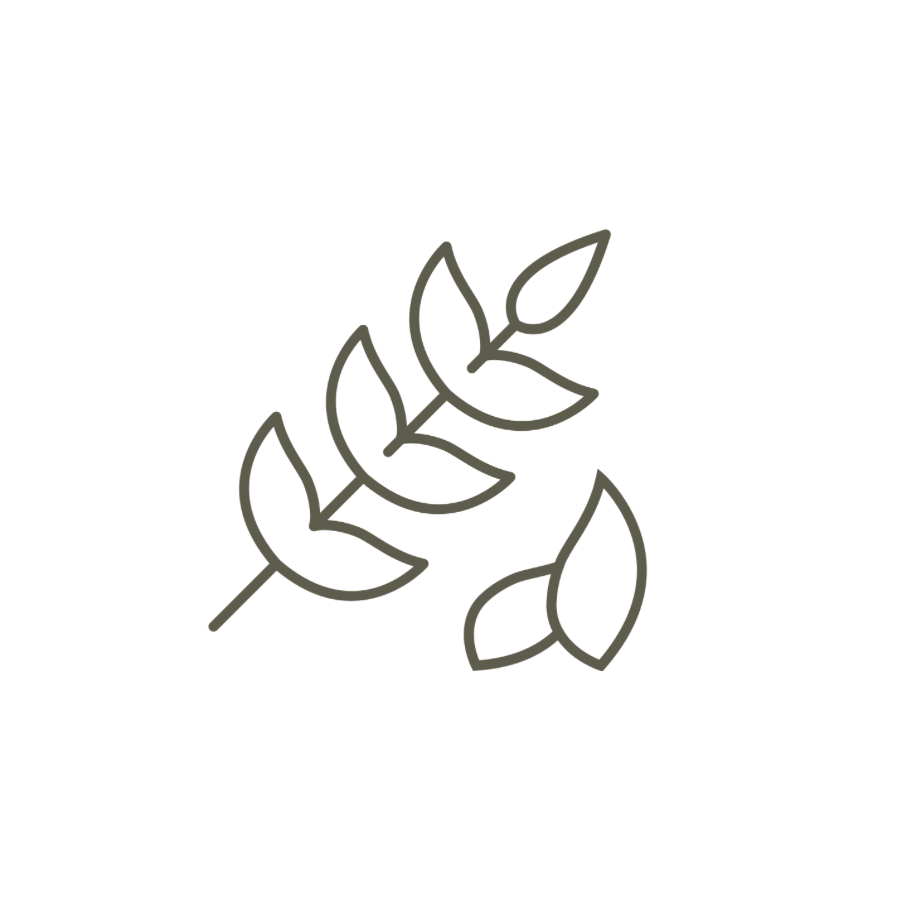 HolisticEstheticianExpertiseMeadowlarkMade.png