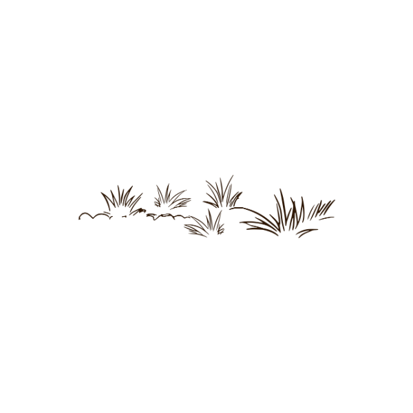 Pasture raised, grass fed tallow from our own farm is at the heart of every Meadowlark Made handcrafted skincare product