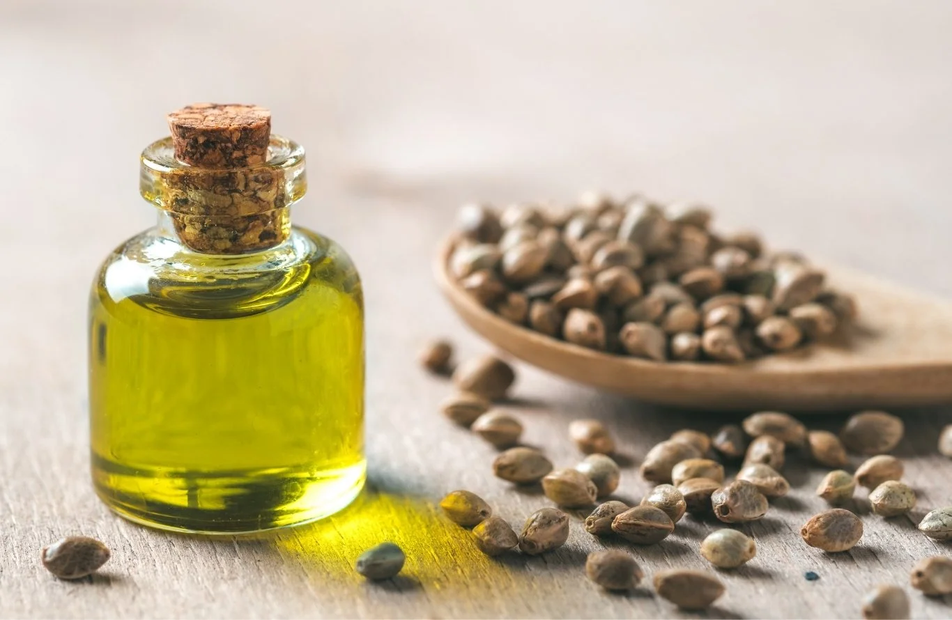 Hemp seeds, cold-pressed for the hempseed oil in our skincare