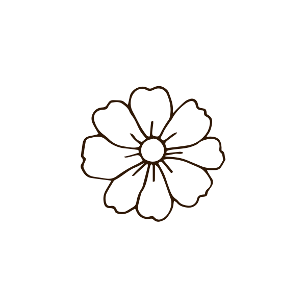Native prairie herbal-infused skincare handcrafted by Meadowlark Made