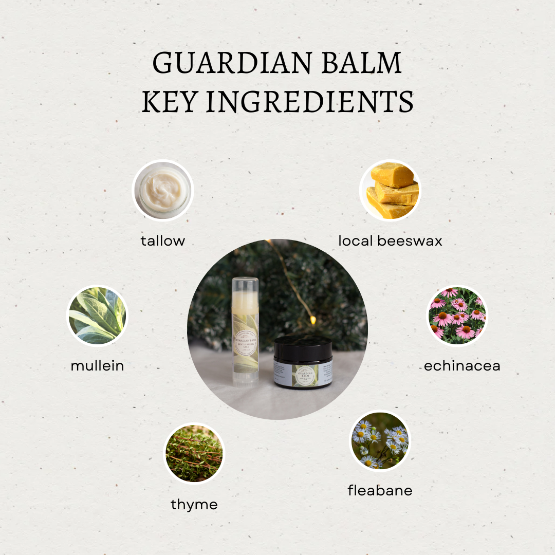 GuardianBalmKeyIngredientsSquare.png