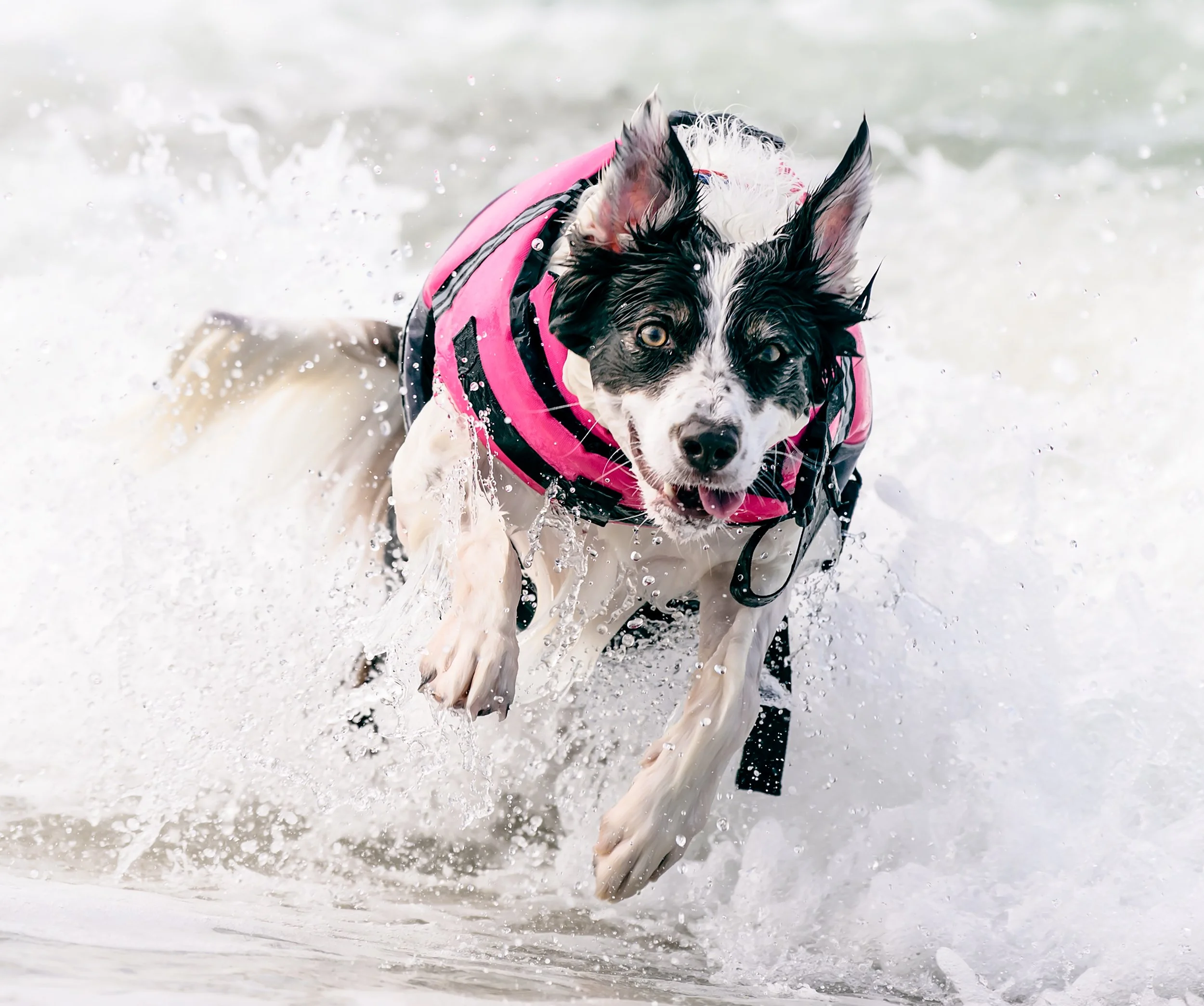Ivy the Amazing-1409.jpg