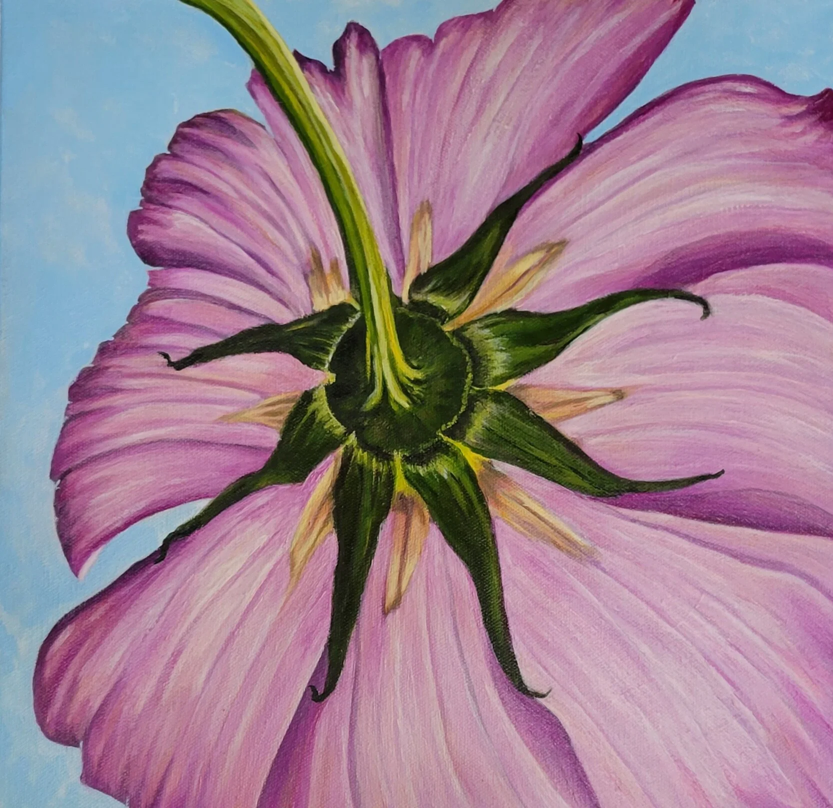 Witte.Cosmos1.jpg