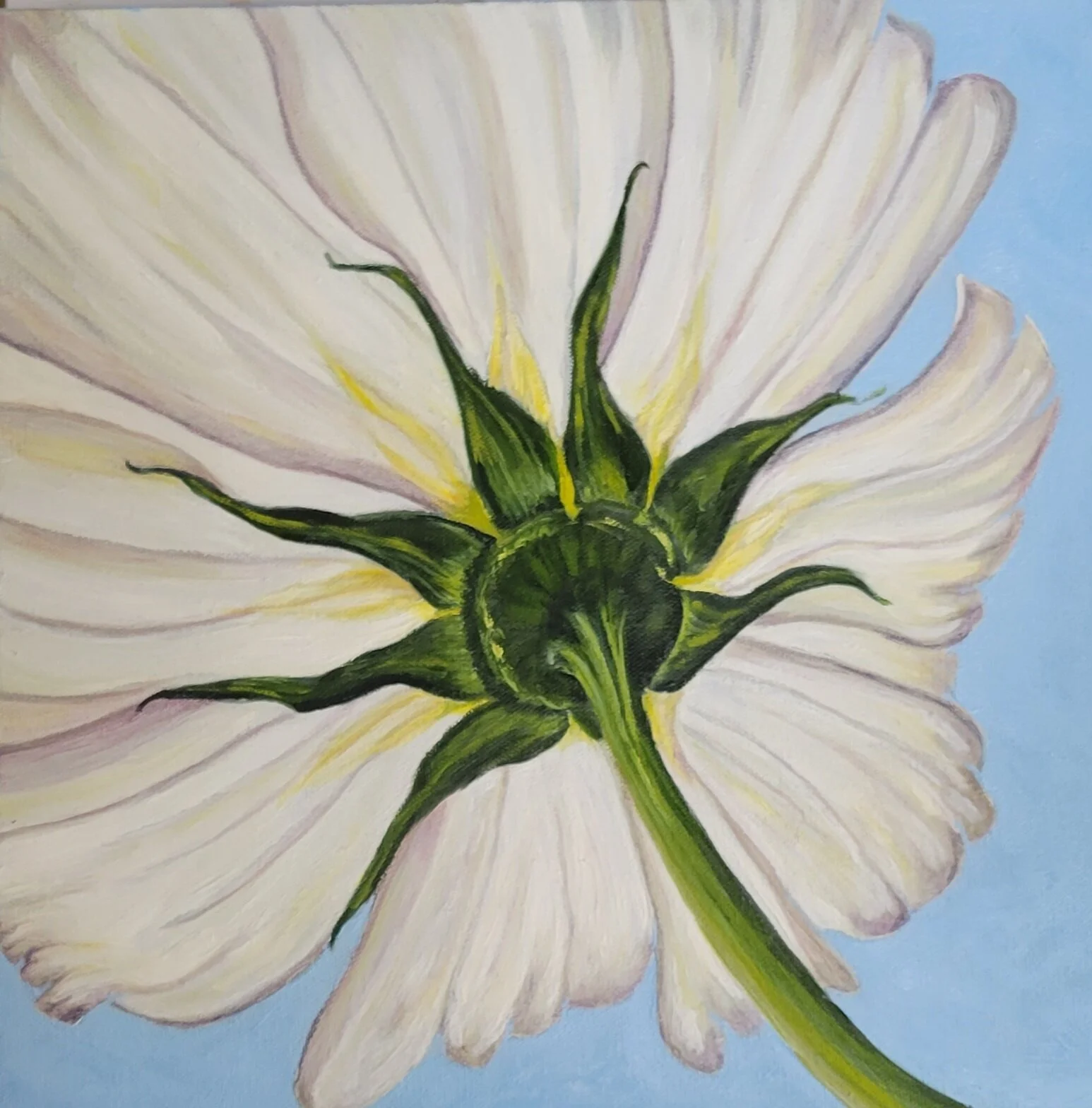 Witte.Cosmos2.jpg