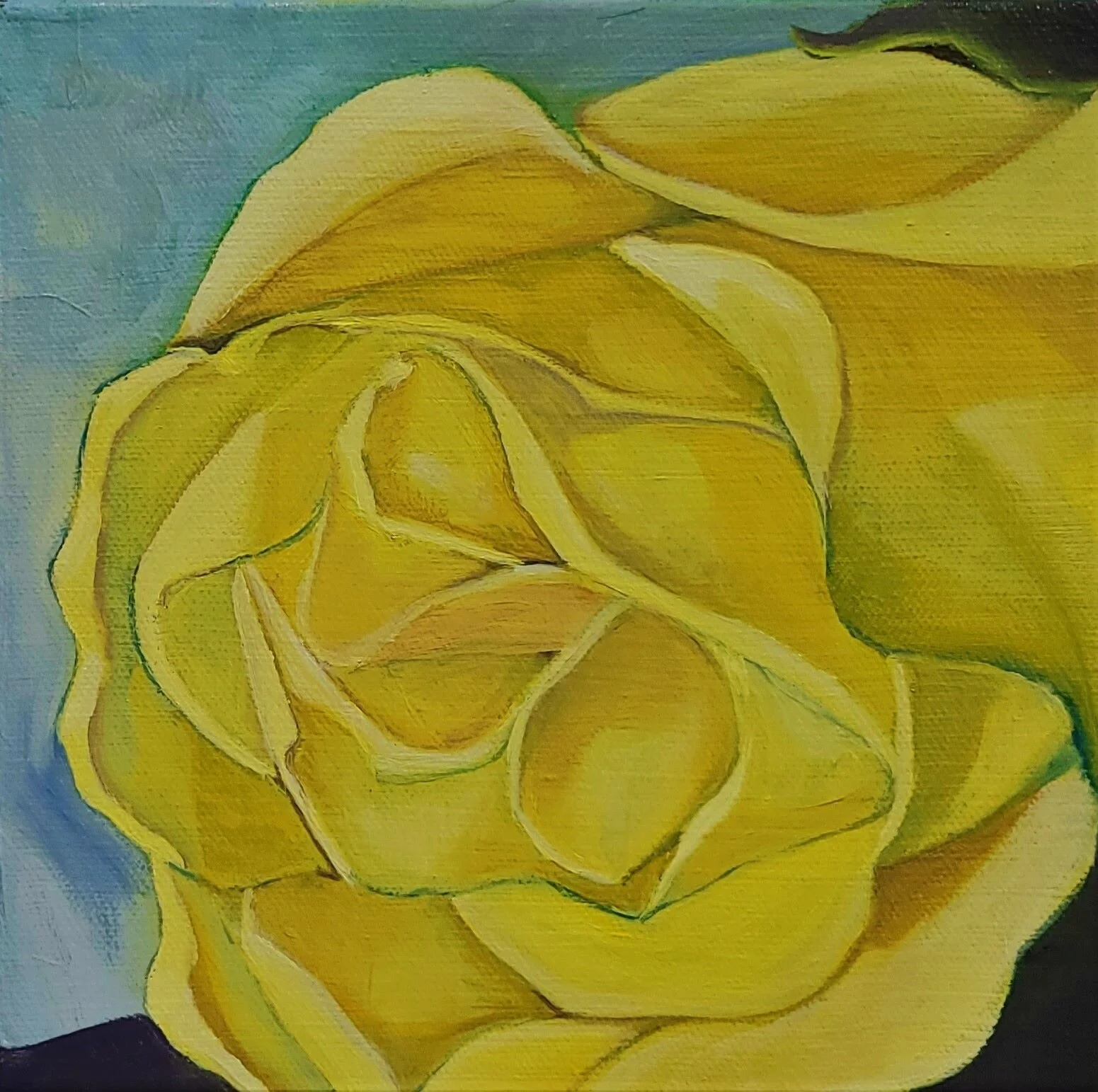 Yellow Rose.jpg