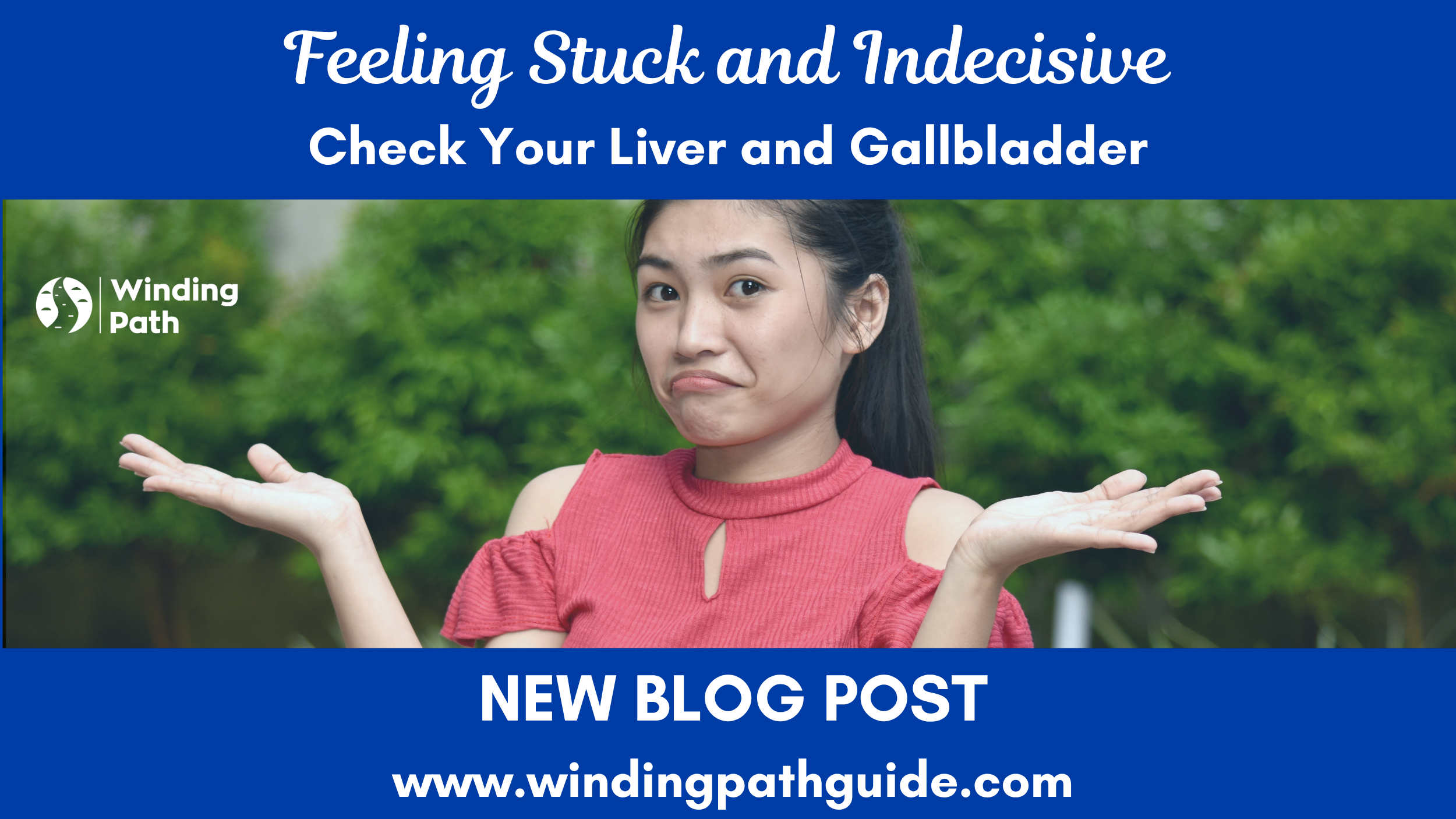 Feeling Stuck and Indecisive? Check Your Liver and Gallbladder