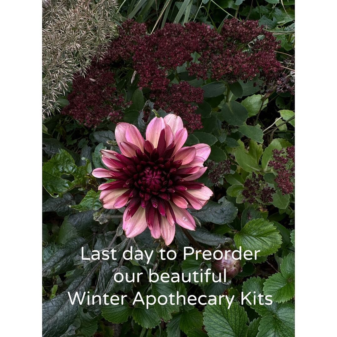 Plant medicine is original medicine, whether you know plant medicines well, or are new and simply curious, these beautiful Winter Apothecary Kits take the struggle out of integrating a practical plant medicine wellness regime into your life. 

The ki