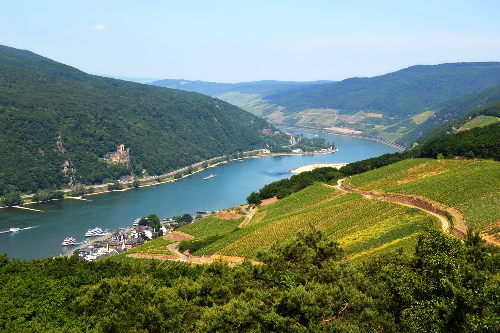Rheingau Musik Festival - Rheingau, DE