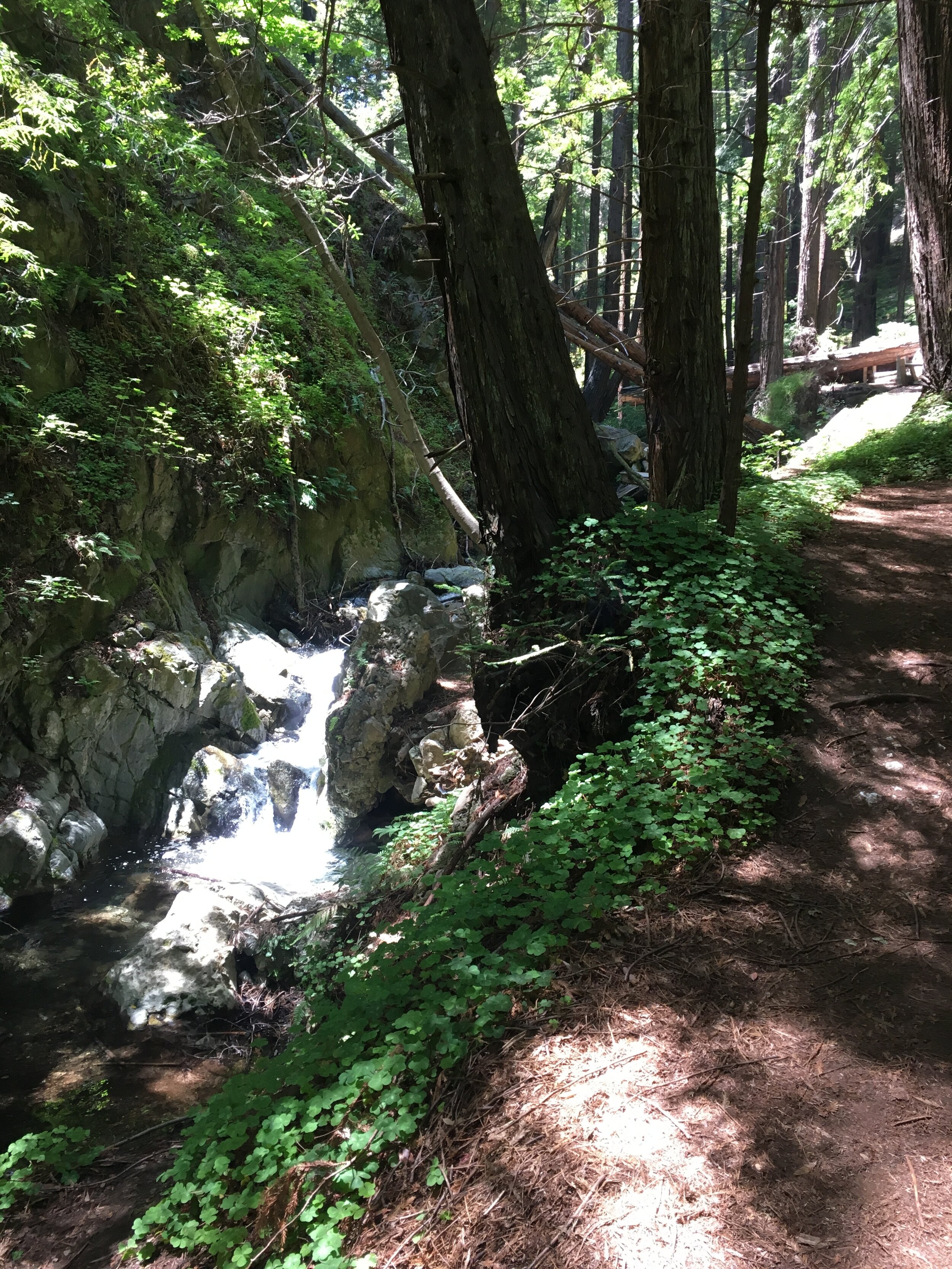 Hike3.jpg
