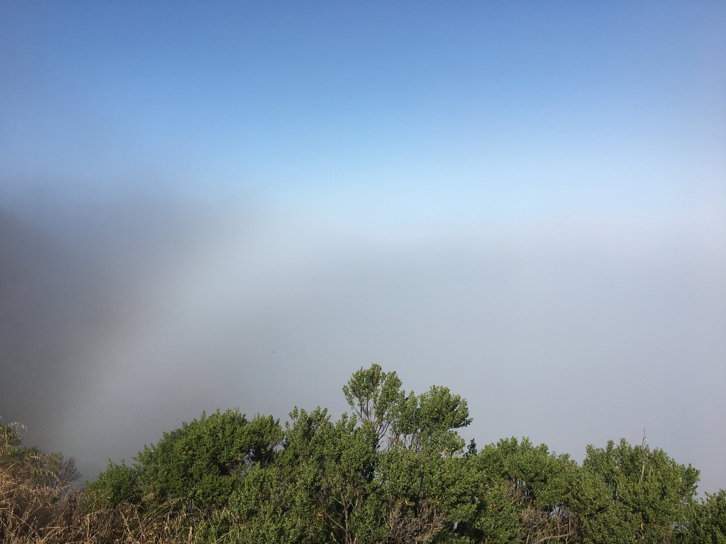 Hike6.jpg