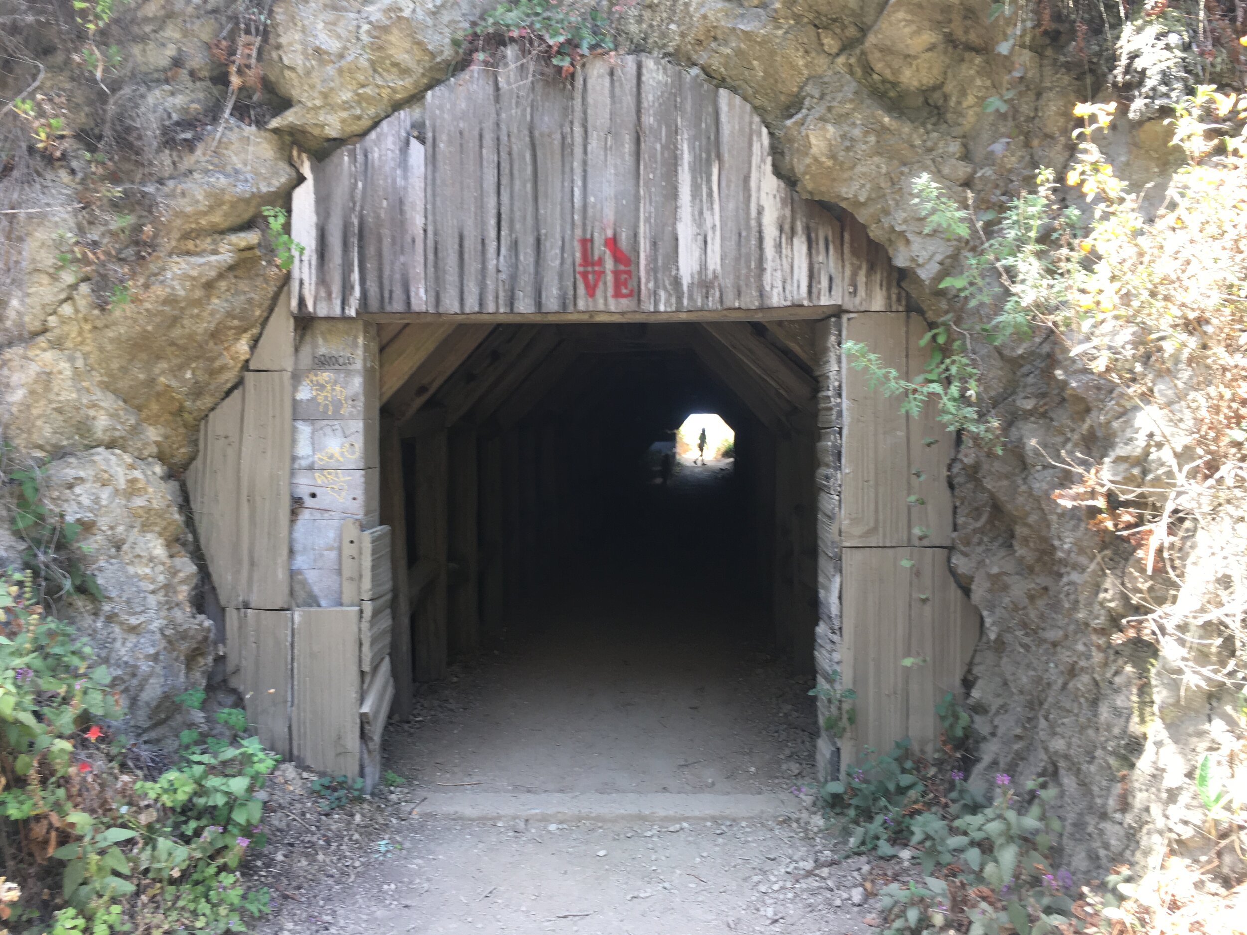 Hike 10.jpg