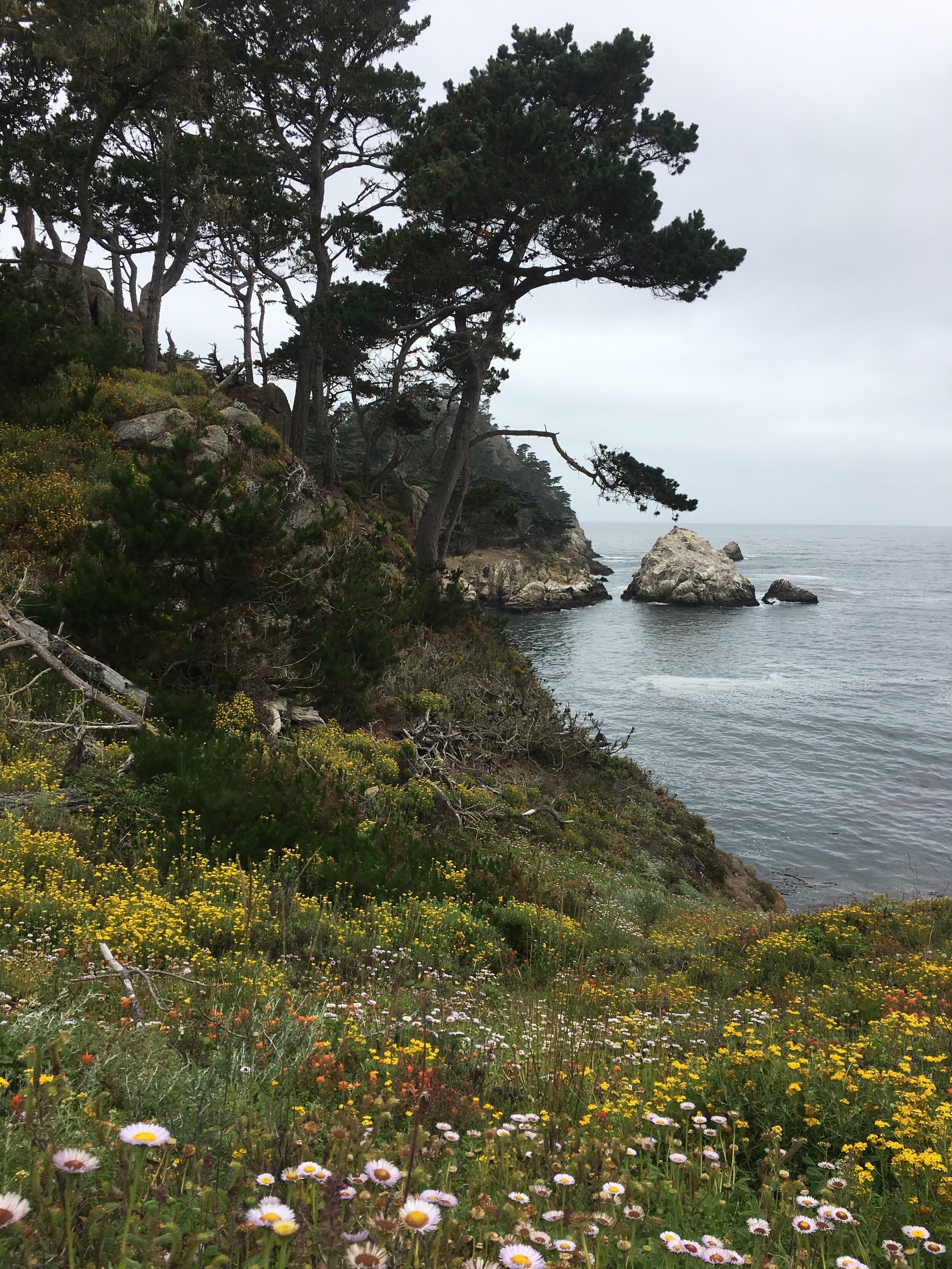 hike1.jpg