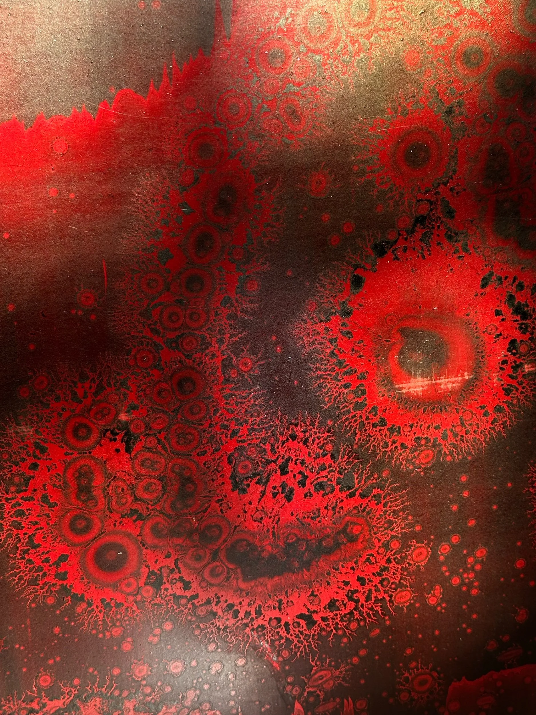 220B1000-8B0F-4C30-995E-549BF5B37888.jpeg