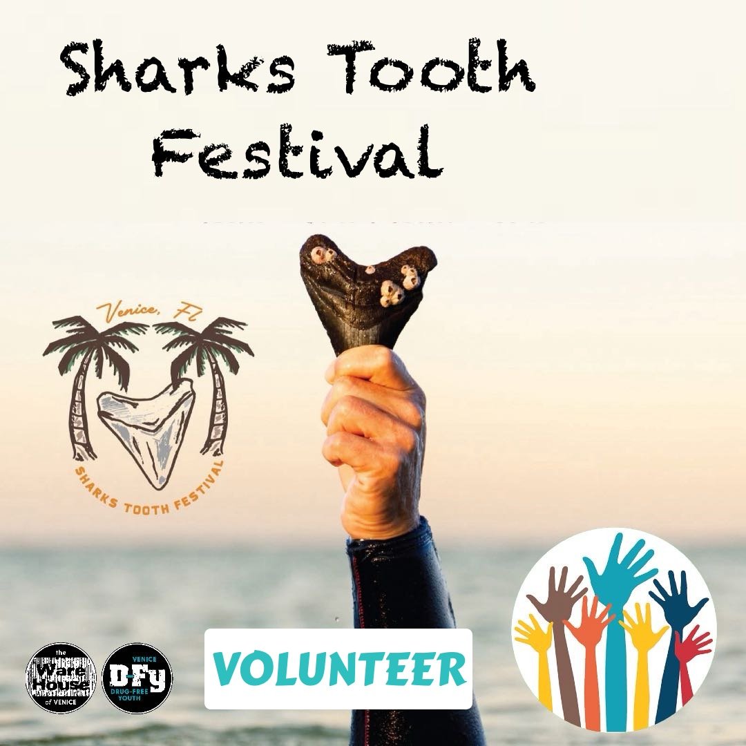 Sharks Tooth Festival
