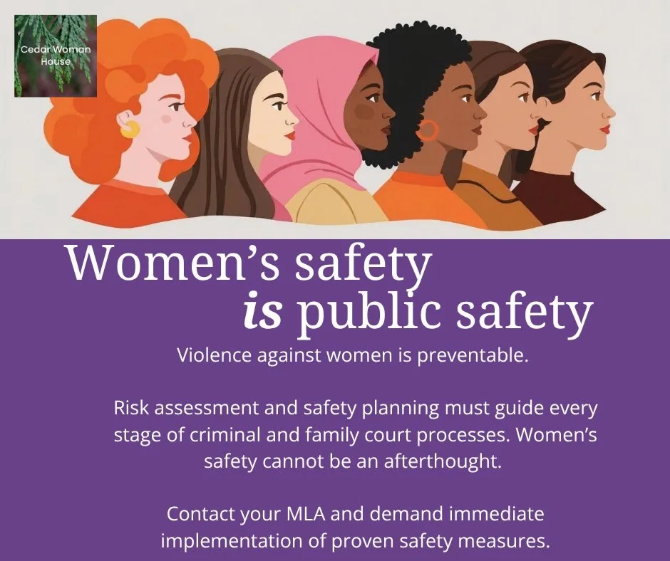 Women fleeing gender-based violence are often told to create a &ldquo;safety plan,&rdquo; but too often these plans place the burden of safety on survivors rather than on the systems meant to protect them.

Provincial governments must invest in survi
