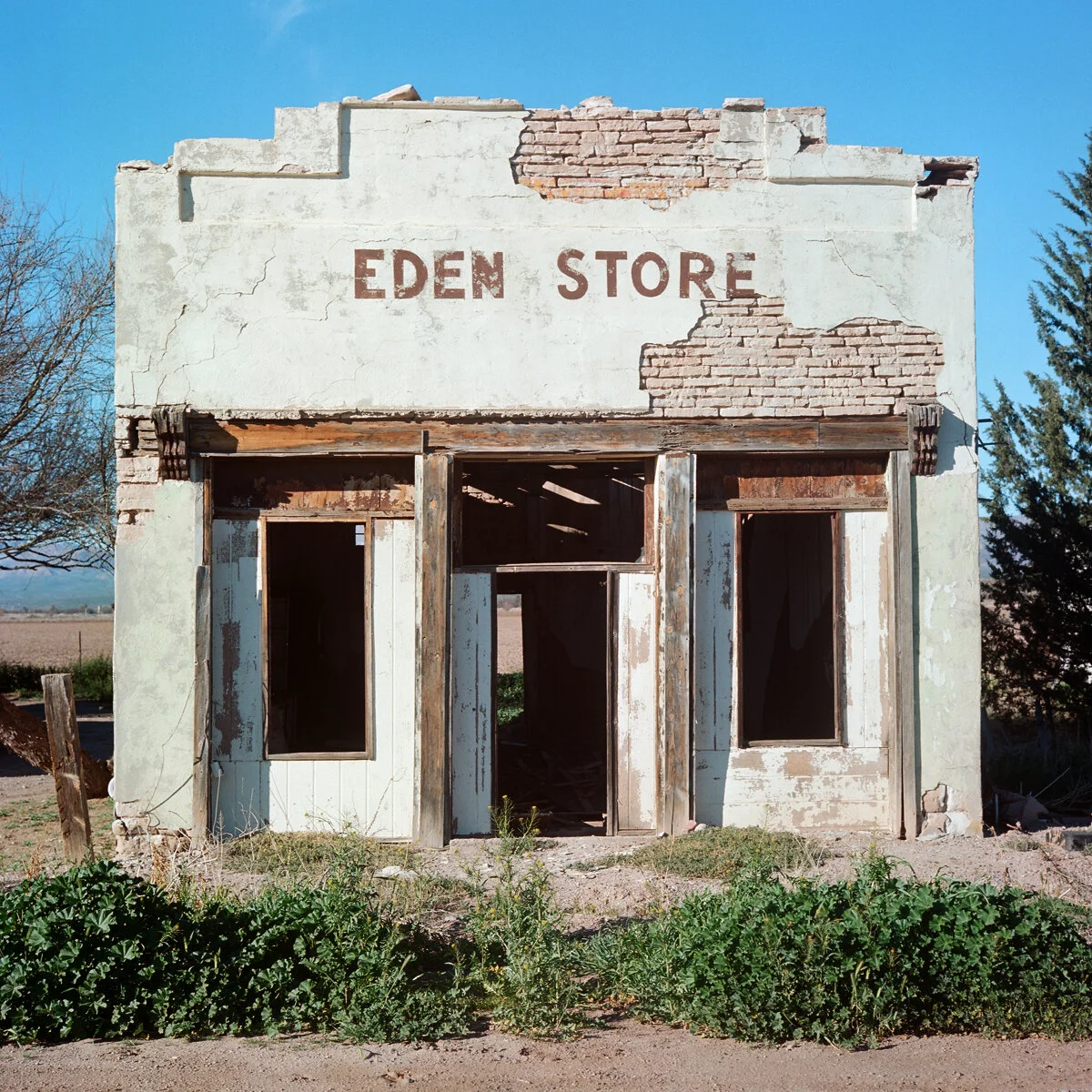 04Eden.jpg